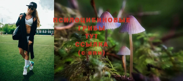 первитин Снежинск