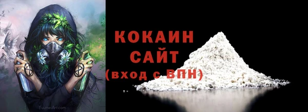 тгк Снежногорск