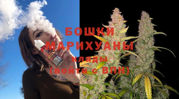 тгк Снежногорск