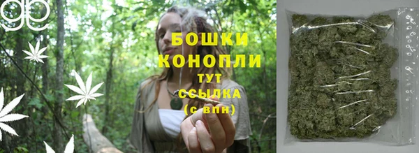тгк Снежногорск