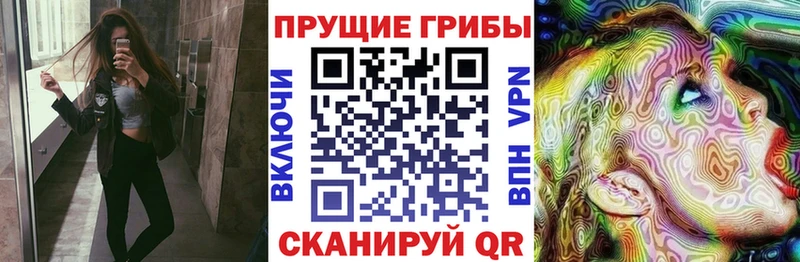 Галлюциногенные грибы Psilocybe  Москва 