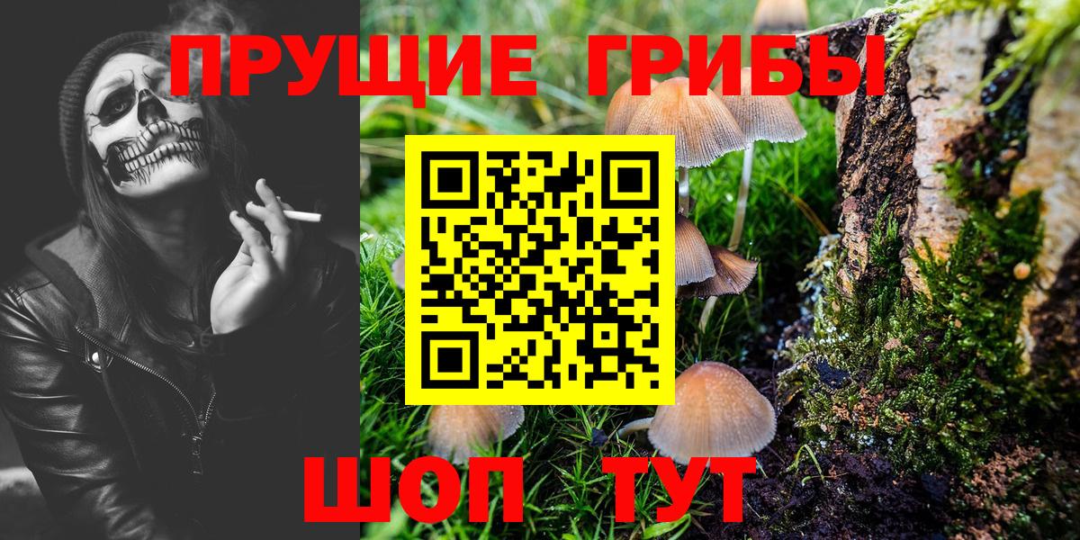 Галлюциногенные грибы Cubensis Москва