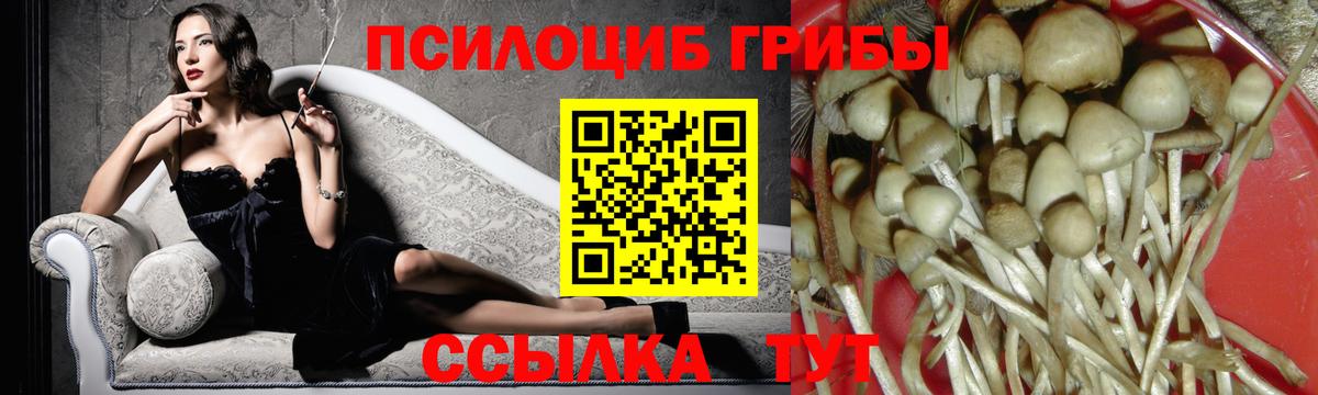 Галлюциногенные грибы Magic Shrooms  Вход с VPN  Москва 